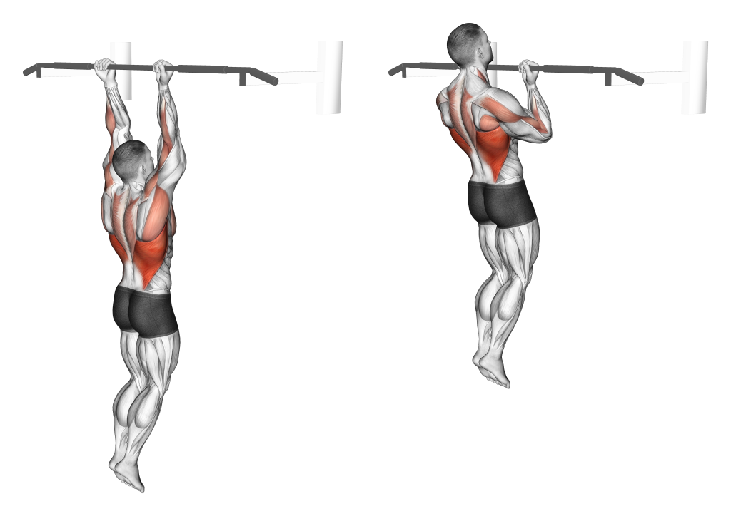 Revers Grip Chin Up