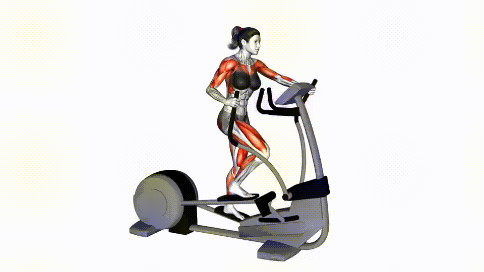 Elliptical Cross Trainer