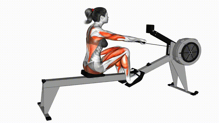 Rowing