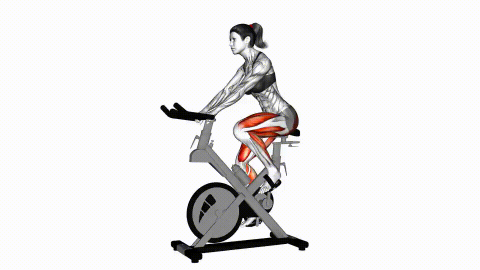 Stationary Bike